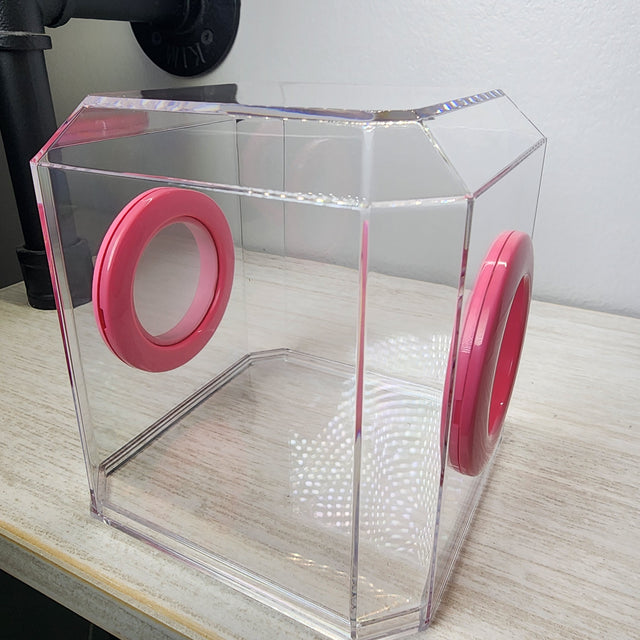 Den Flat Top 4x4x4 Jumping Spider Enclosure (holds fruit flies)