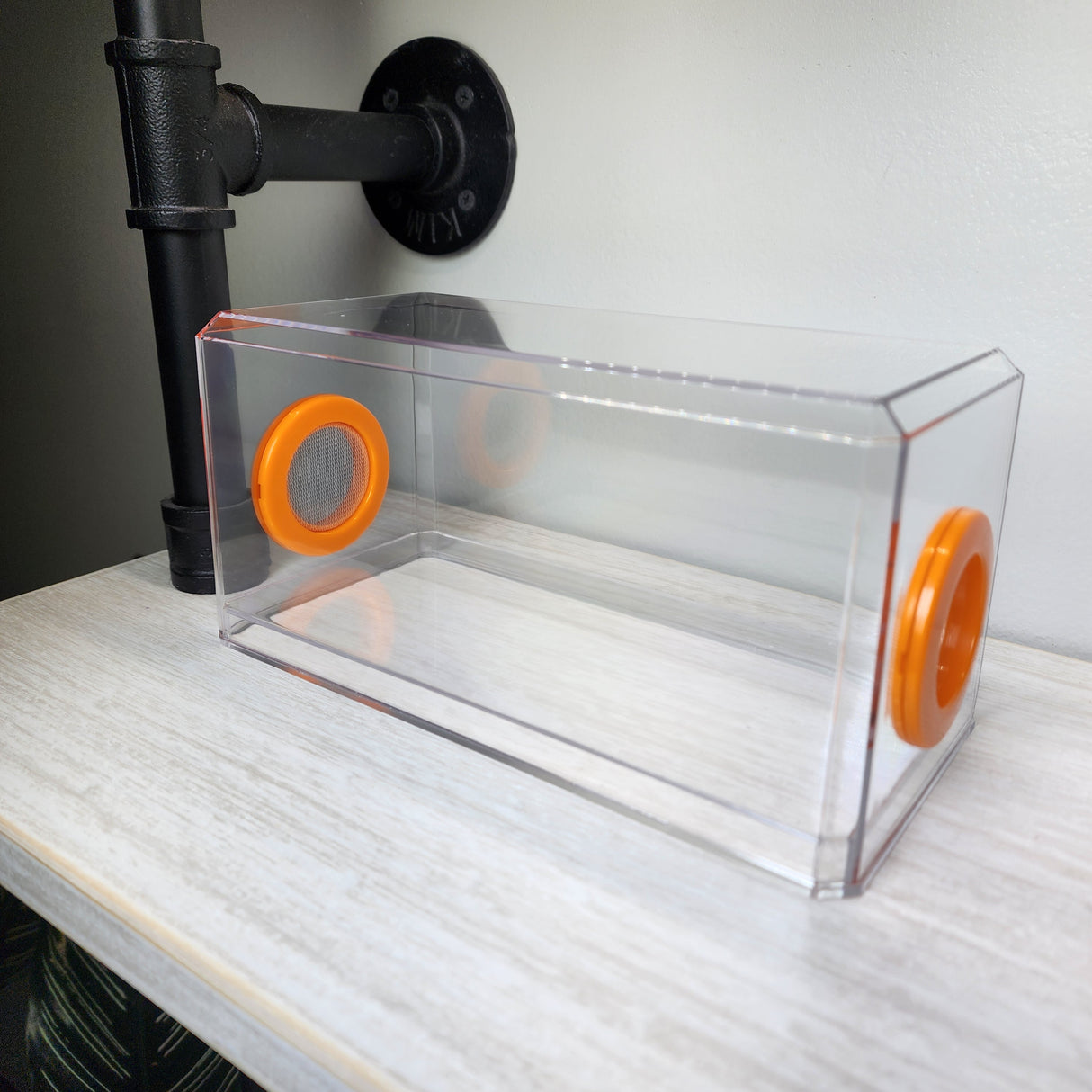 BFP Stinger Stackable Jumping Spider Sling Nursery(holds fruit flies.