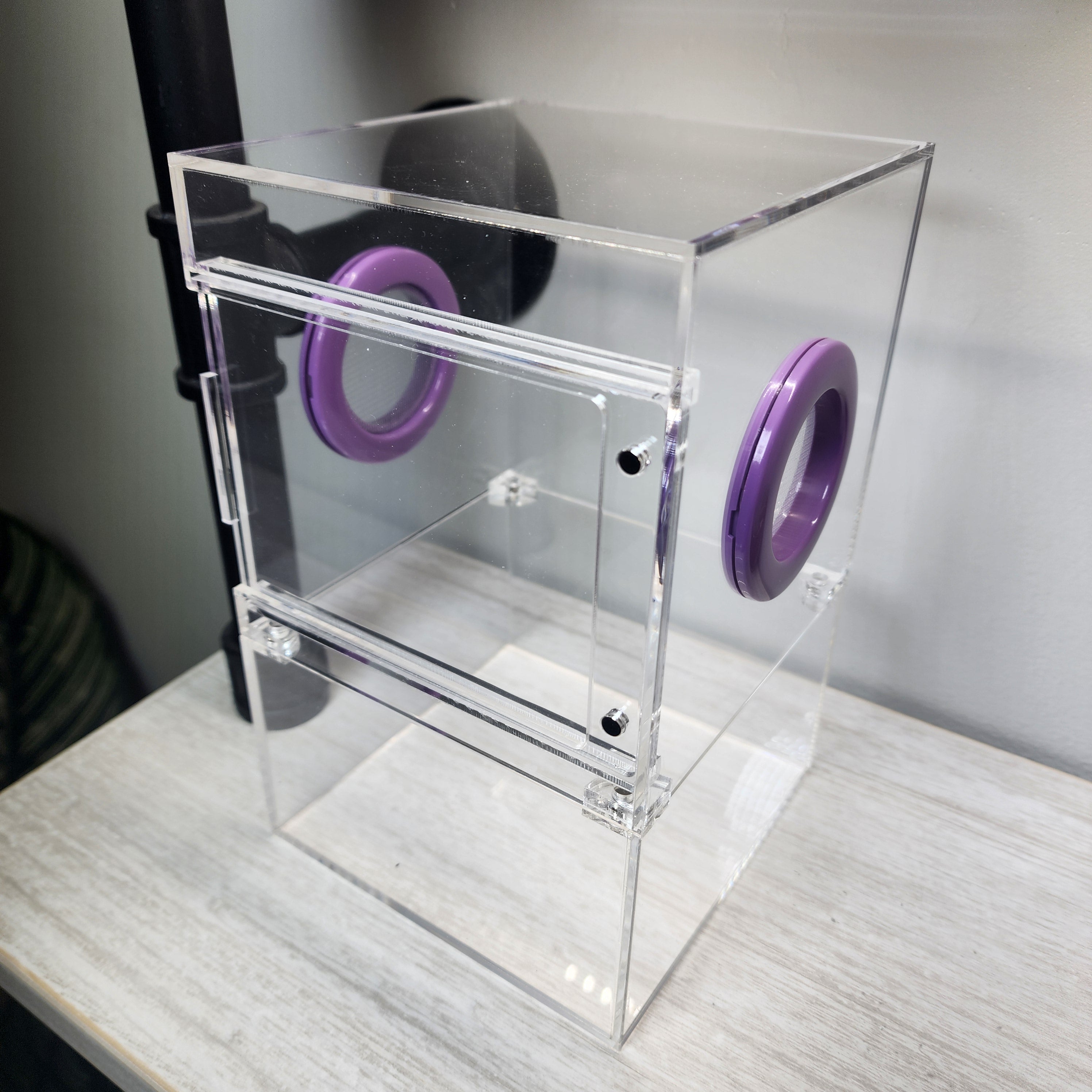 エニードープ Large Flat Top Magnetic 5x5x8 Front Opening Jumping Spider