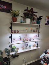 Den Flat Top 4x4x4 Jumping Spider Enclosure (holds fruit flies)