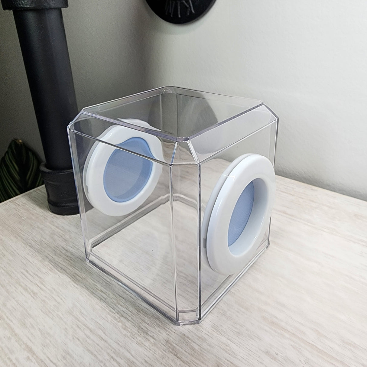 Mini Den Flat Top 3x3x3 Jumping Spider Enclosure (holds fruit flies)