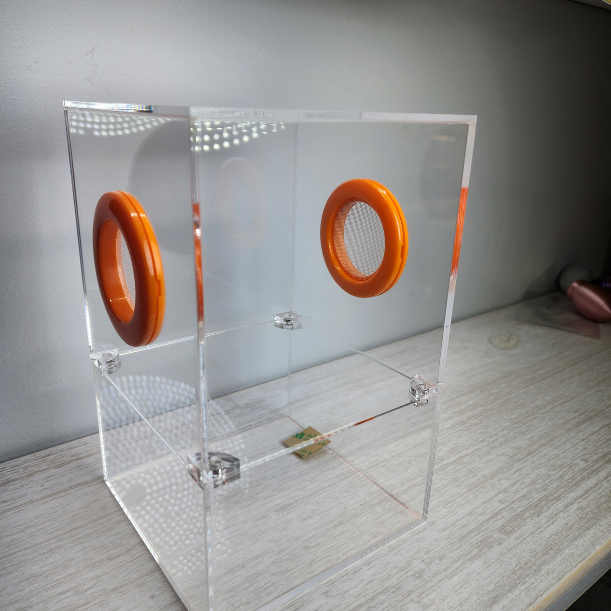 Large Flat Top Magnetic 5x5x8 Jumping Spider Enclosure (holds fruit flies)