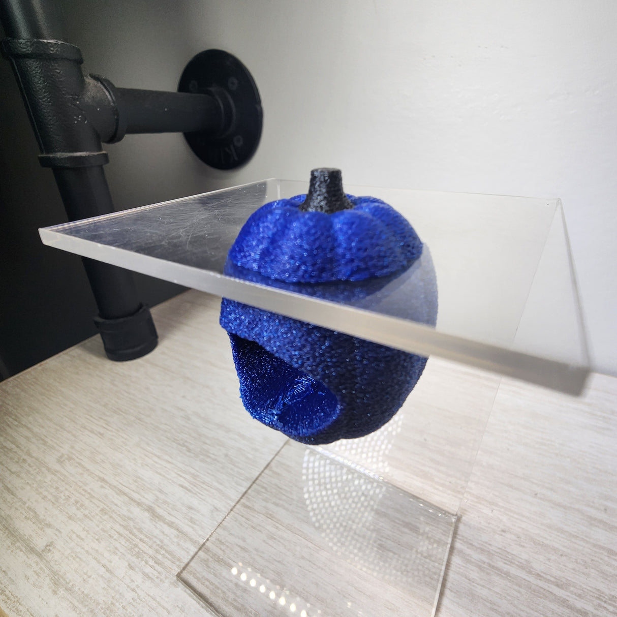 Baby Pumpkin Nesting Hides for Jumping Spiders