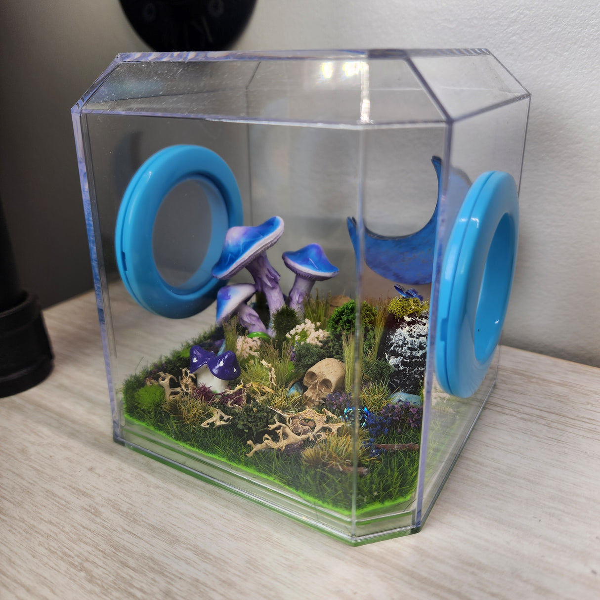 Den Flat Top 4x4x4 Jumping Spider Enclosure (holds fruit flies)