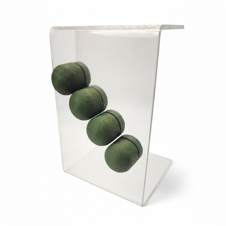 Jumping Spider Perch 