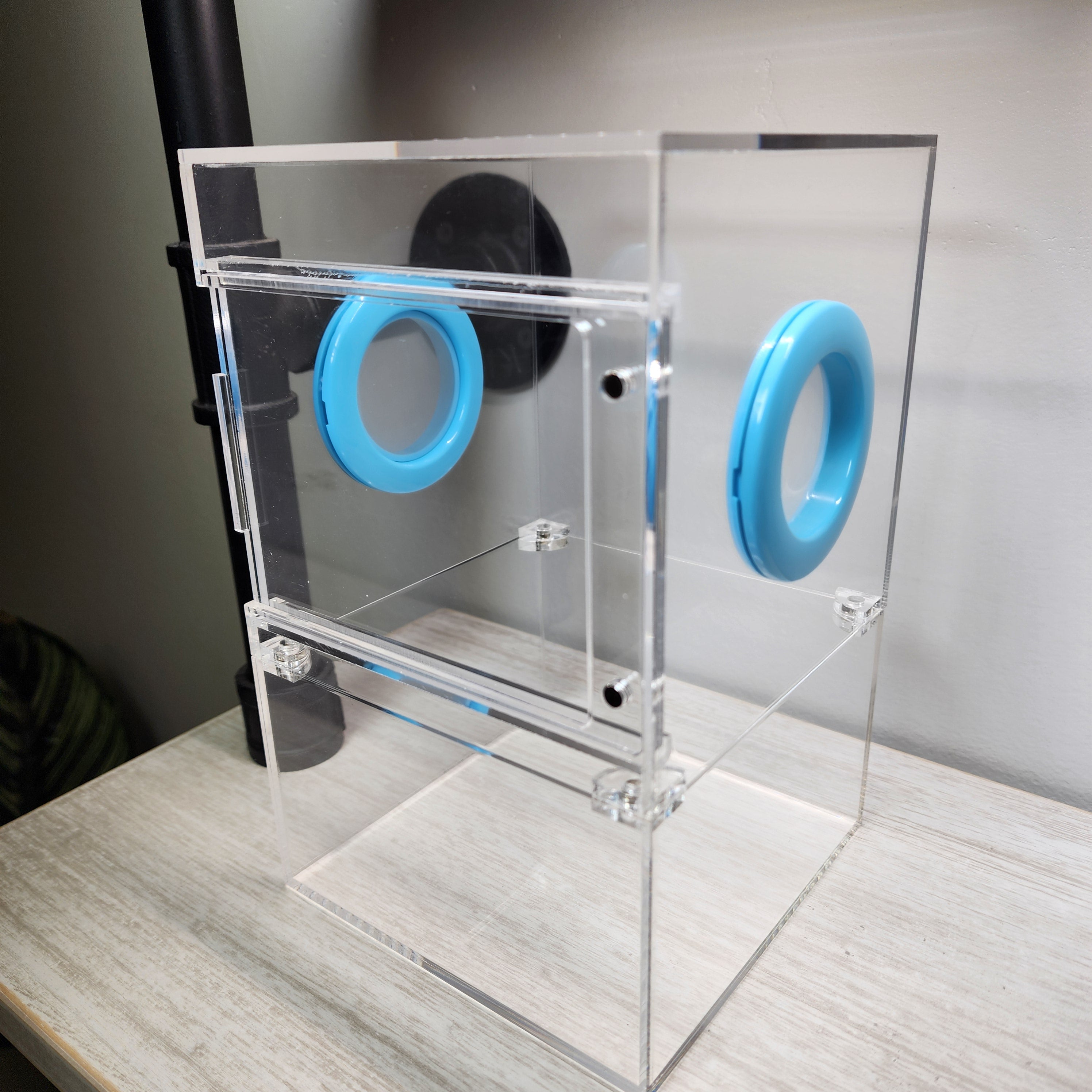 Large 5x5x8 Magnetic Jumping Spider Enclosure | BigFATPhids