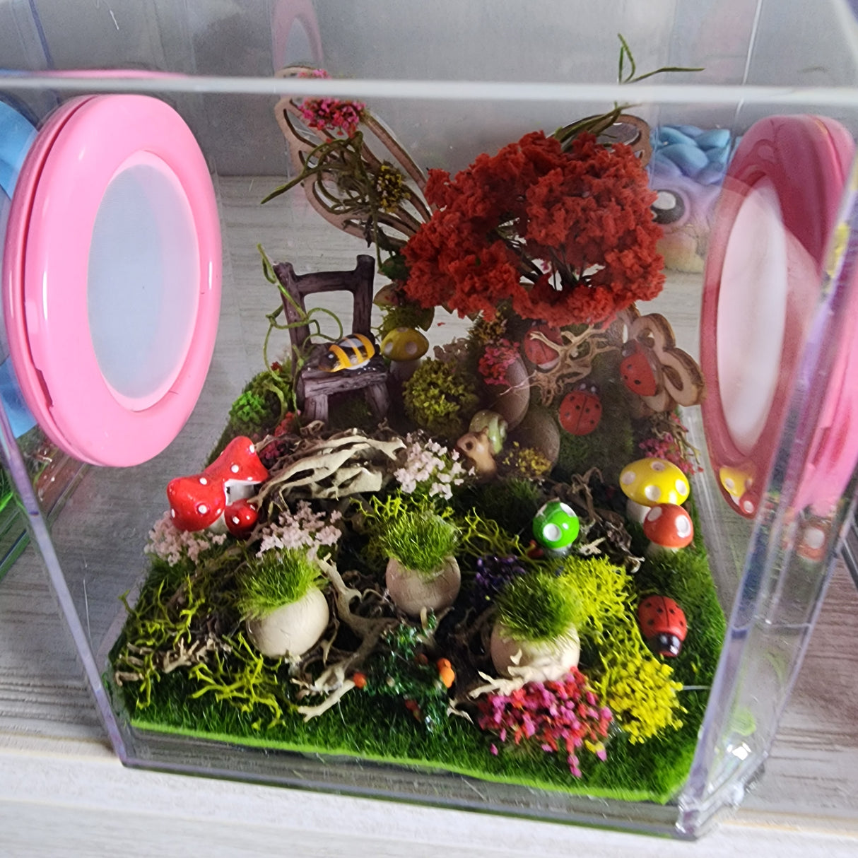 Den Flat Top 4x4x4 Jumping Spider Enclosure (holds fruit flies)