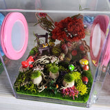 Den Flat Top 4x4x4 Jumping Spider Enclosure (holds fruit flies)