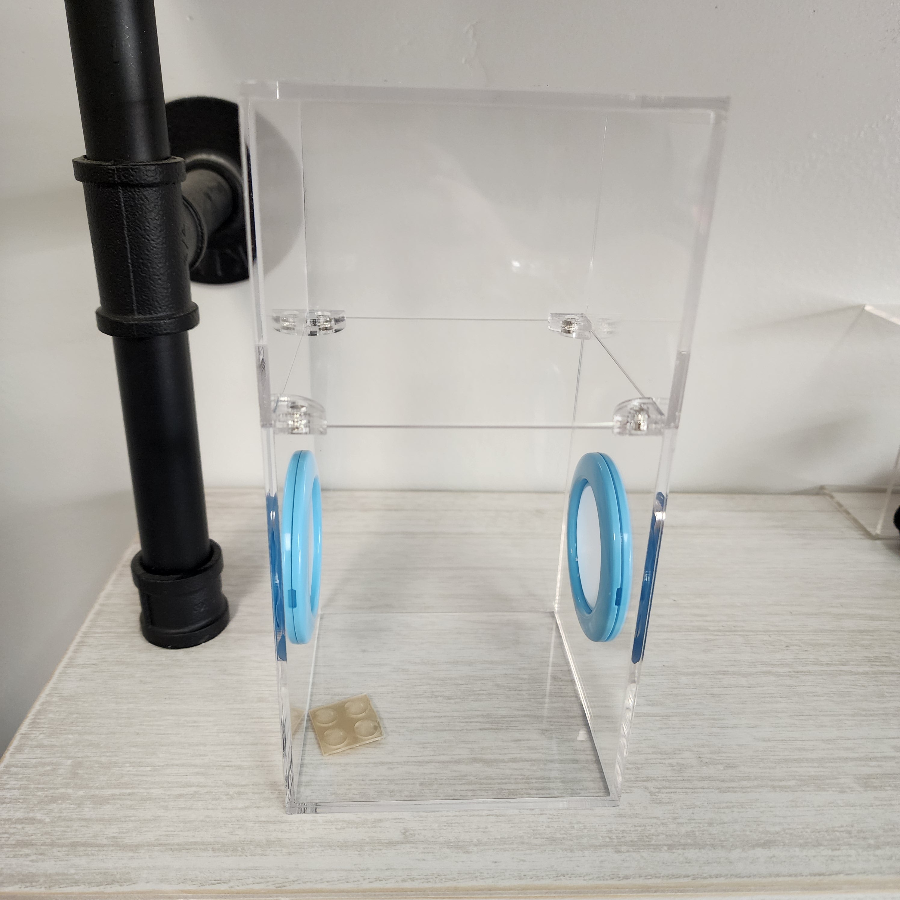 Medium 4x4x8 Magnetic Dual Vent Jumping Spider Enclosure | BigFATPhids