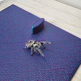 Removable floor insert for the 4x4x8 Magnetic Flat Top