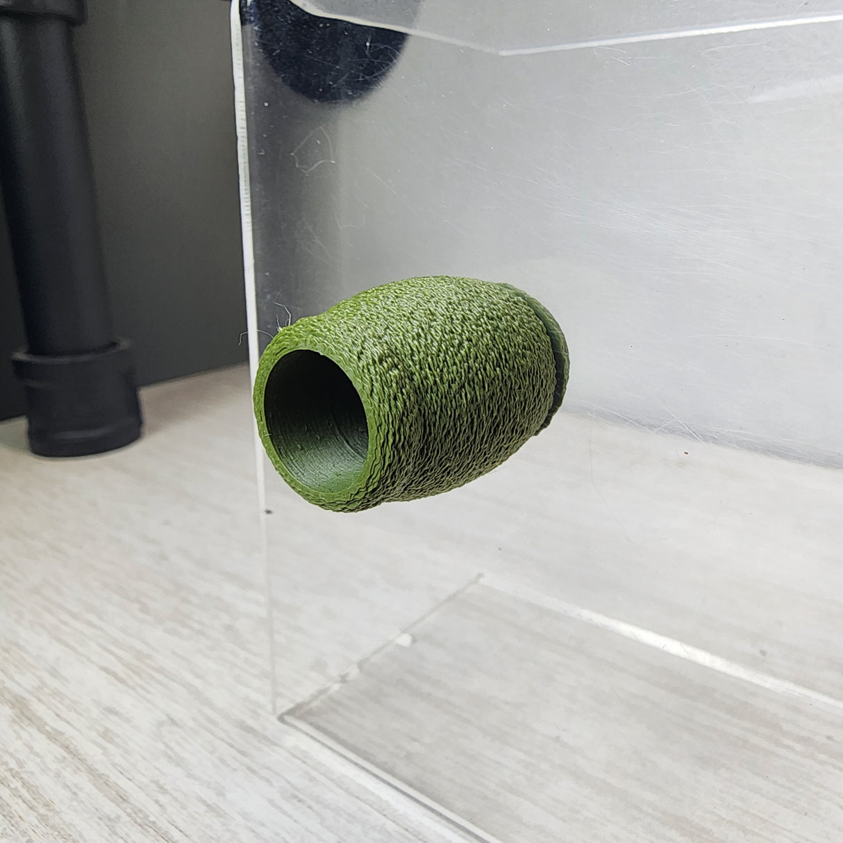 Fuzzy Bumble Jumping Spider HIdes in 2 sizes and several colors