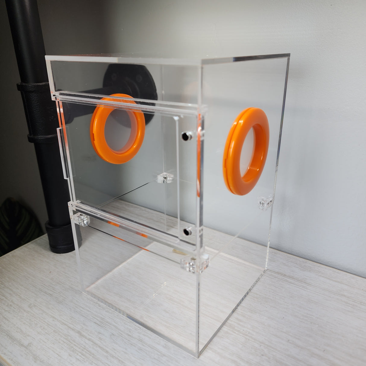 Large Flat Top Magnetic 5x5x8 Front Opening Jumping Spider Enclosure