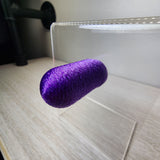 Dome Head Spoody Perch 1 and 4 CT