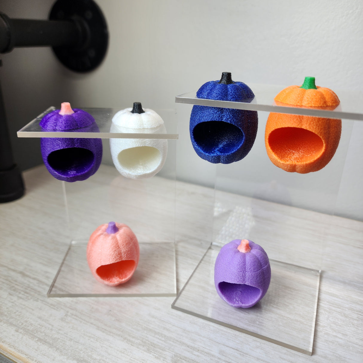 Baby Pumpkin Nesting Hides for Jumping Spiders