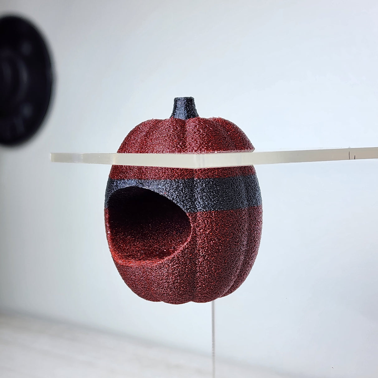 Screaming Pumpkin nesting hides for Jumping Spiders