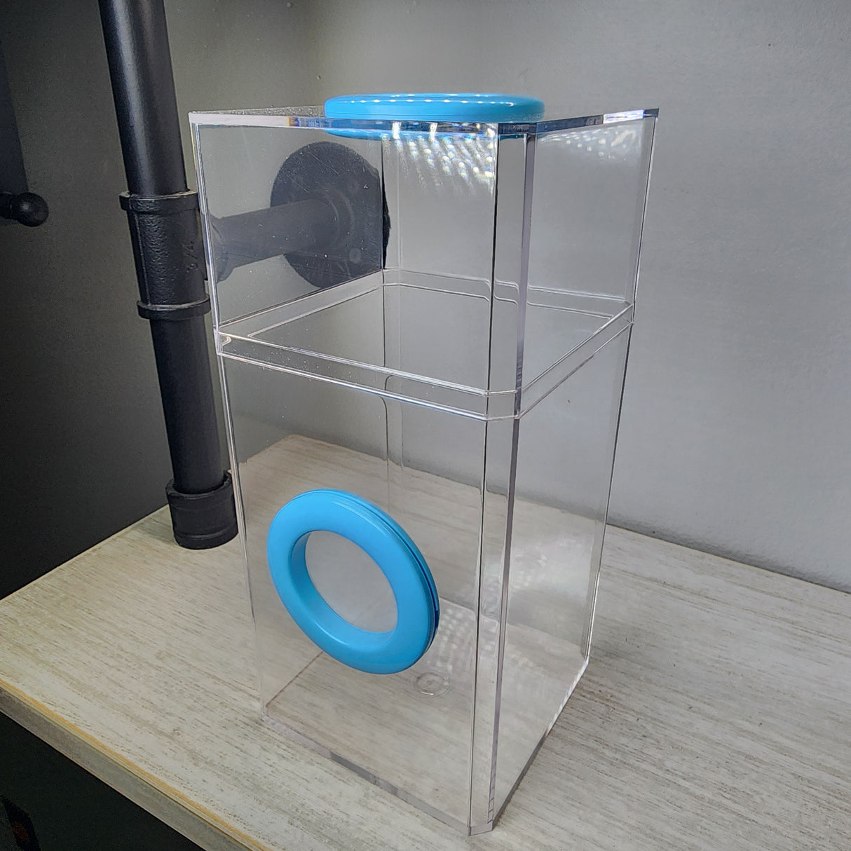 B-STOCK Classic Dual Vent Spider Condo Jumping Spider Enclosure (holds Fruitflies)