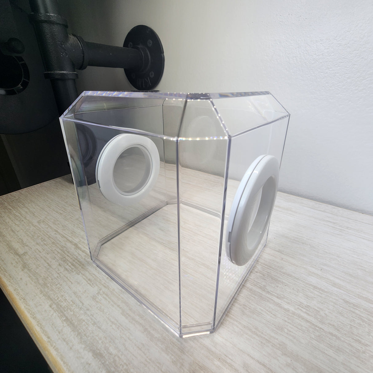 Den Flat Top 4x4x4 Jumping Spider Enclosure (holds fruit flies)