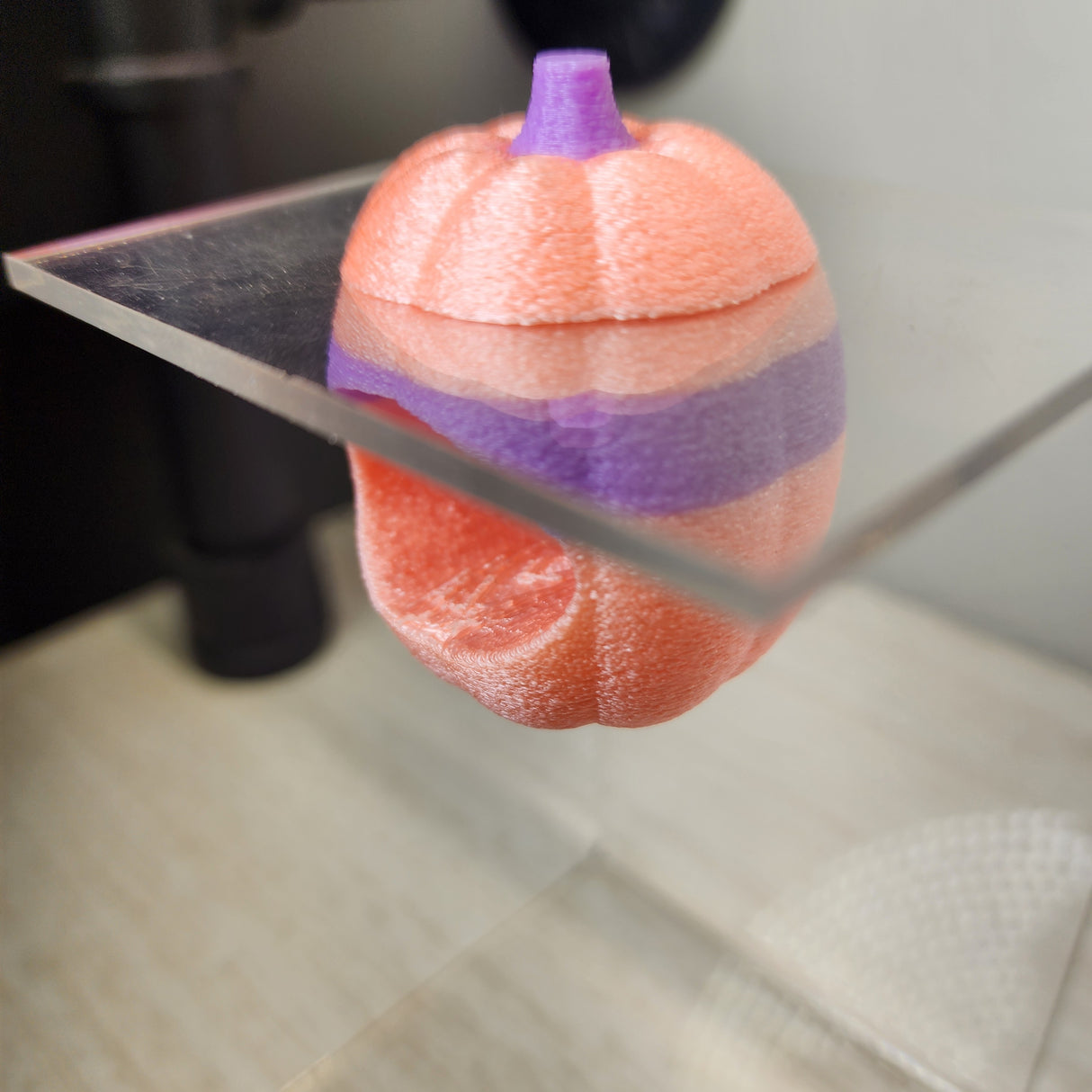 Screaming Pumpkin nesting hides for Jumping Spiders