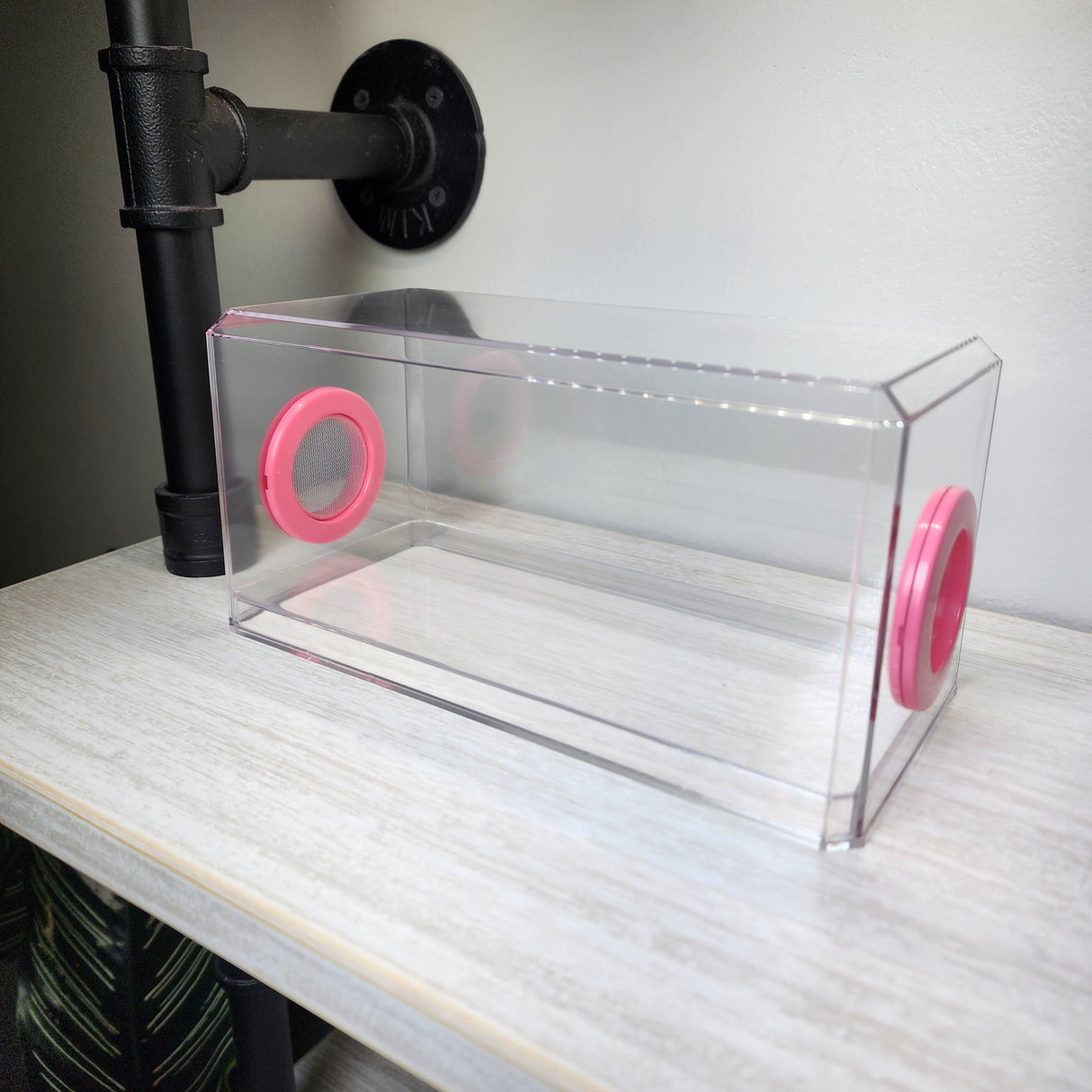 BFP Stinger Stackable Jumping Spider Sling Nursery(holds fruit flies.