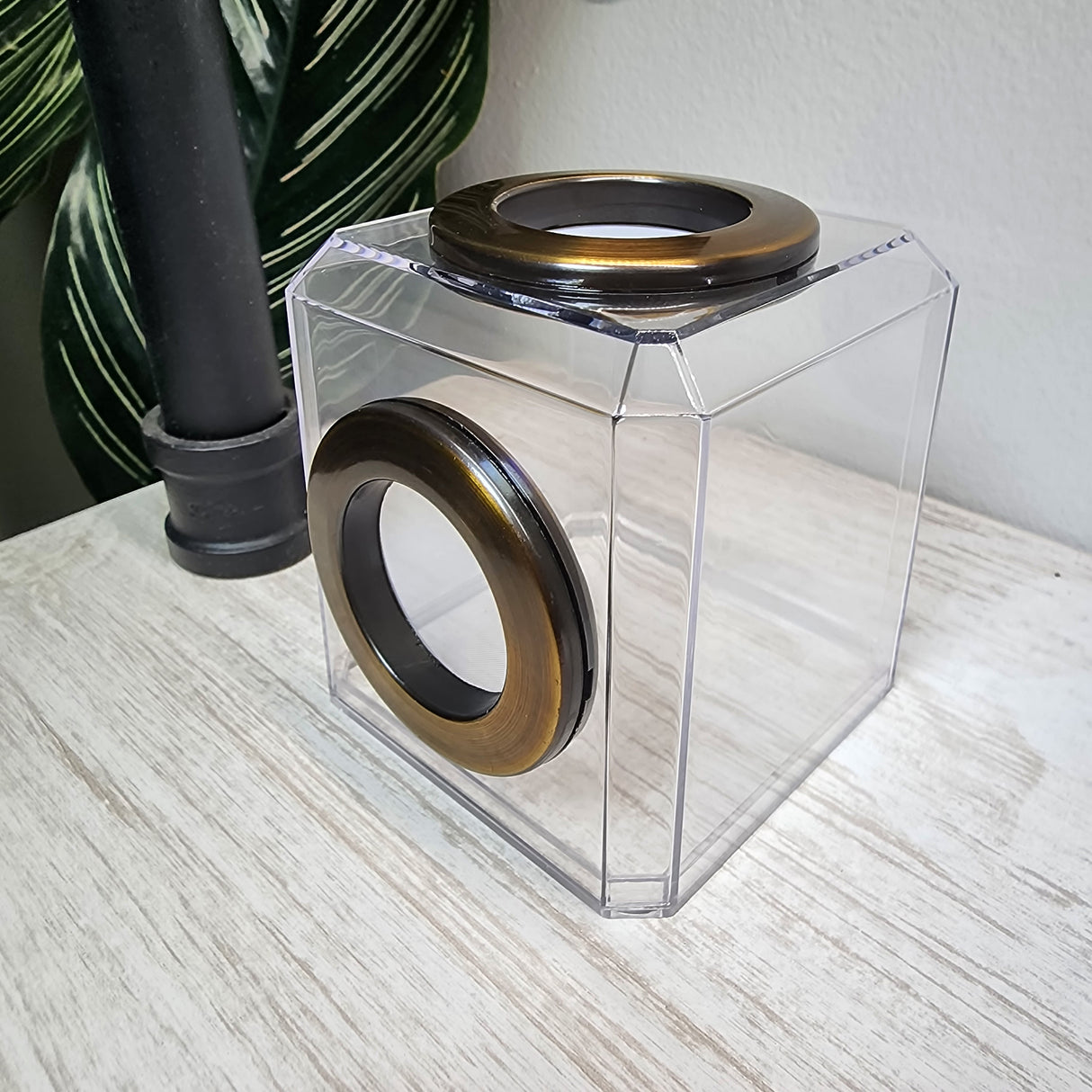 Mini Den Dual Vent 3x3x3 Jumping Spider Enclosure (holds fruit flies)