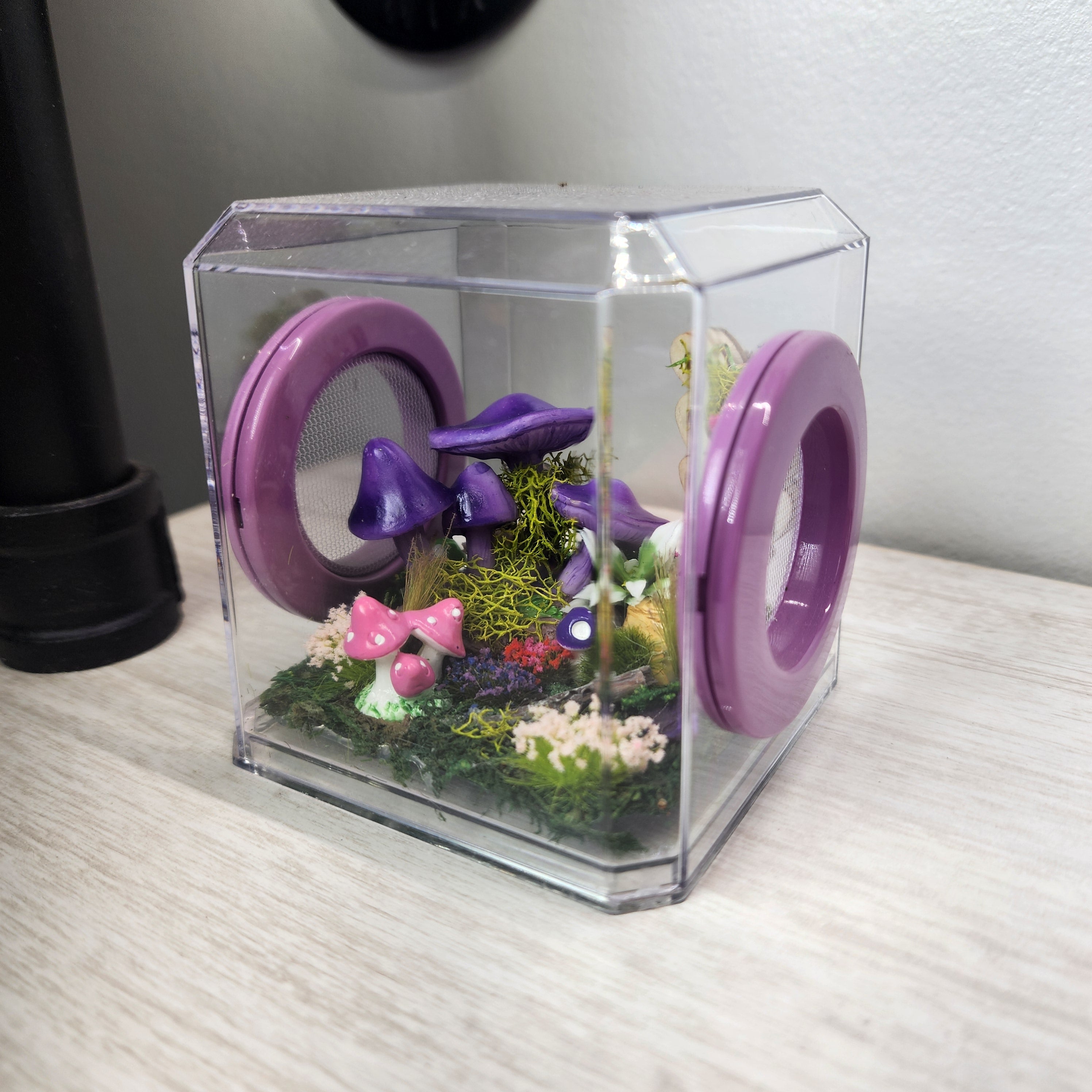 Mini Den Flat Top 3x3x3 Jumping Spider Enclosure (holds fruit