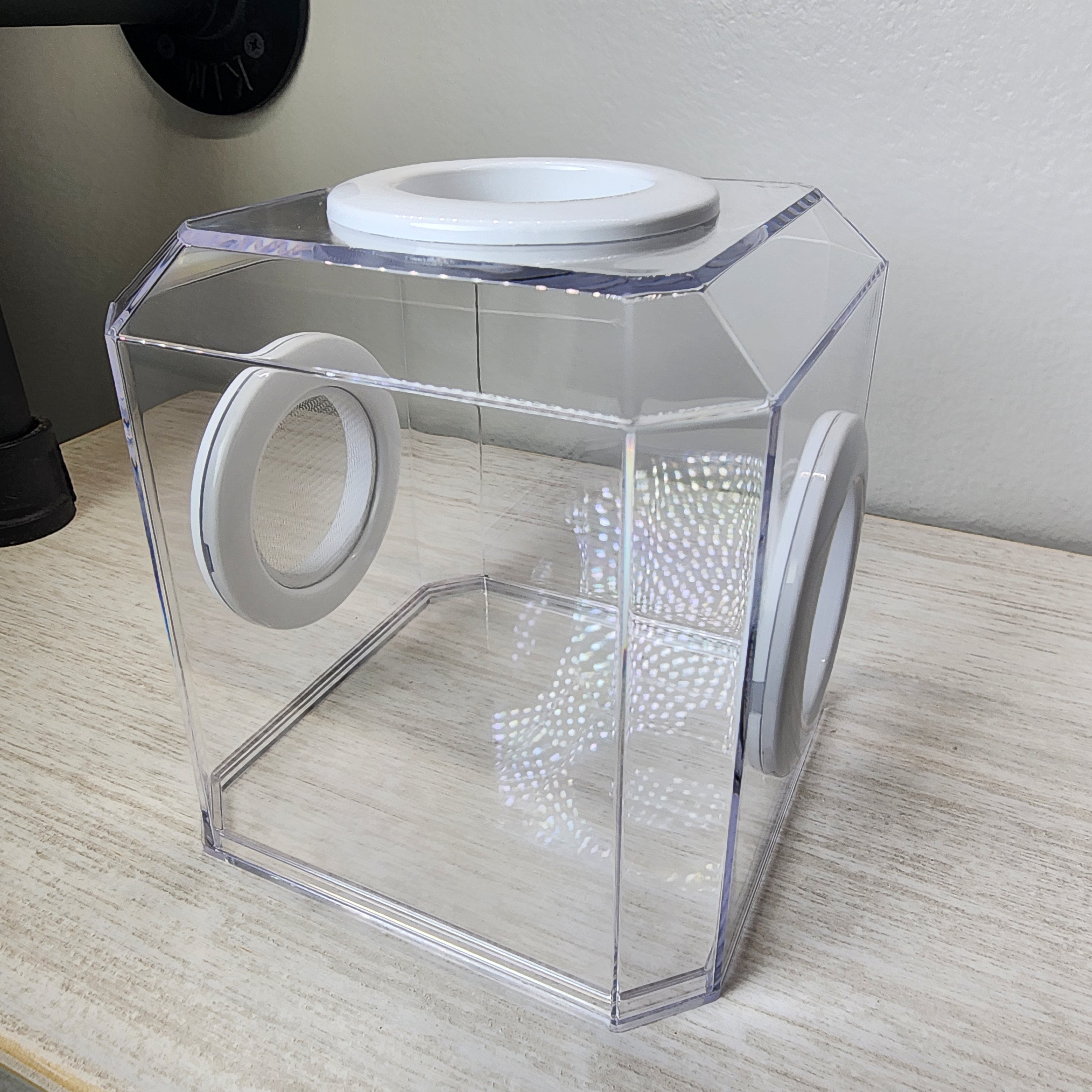 amphibianフミキリインカーネーション（仮）projectsa . net Den Tri Vent 4x4x4 Jumping Spider Enclosure | BigFATPhids