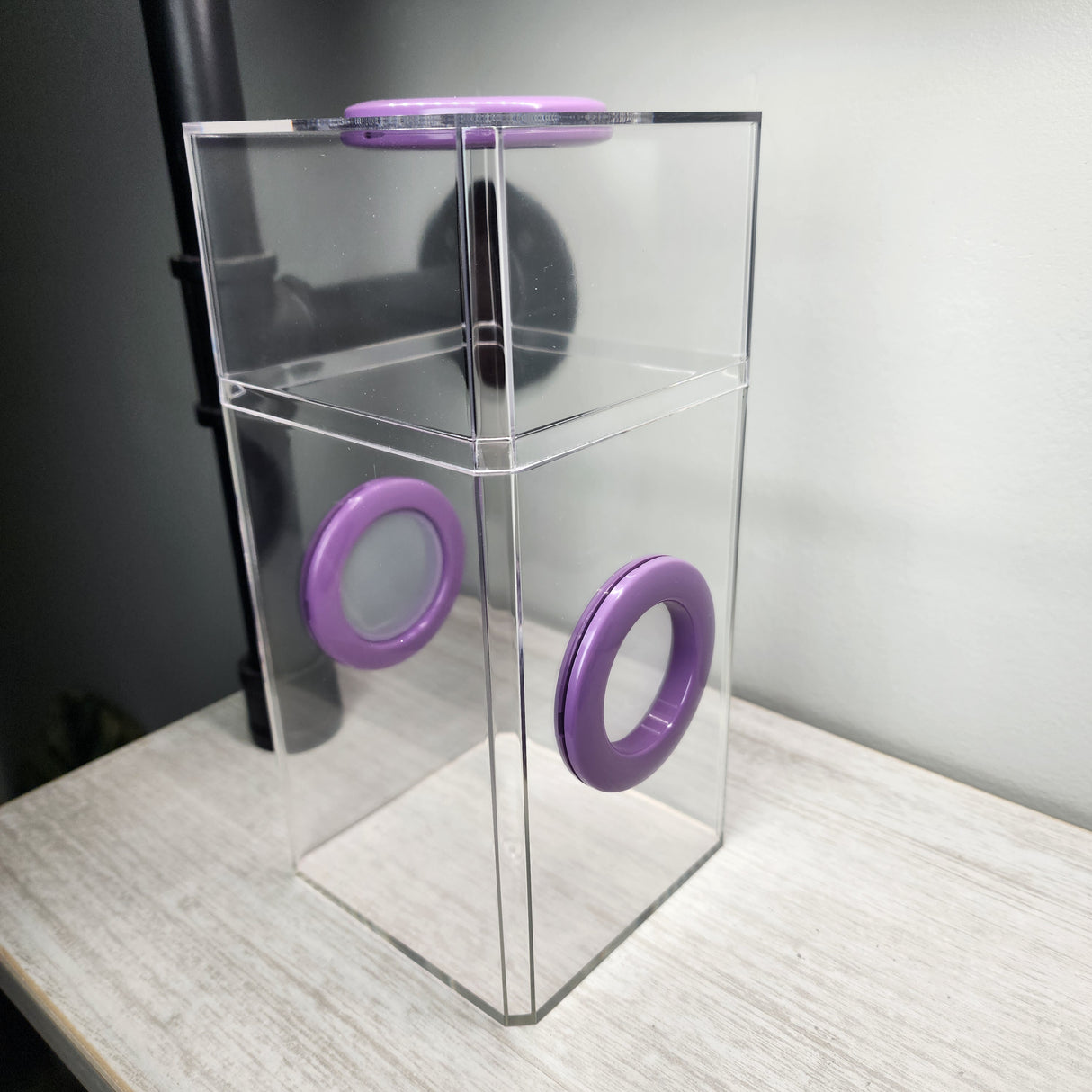 B-STOCK Classic Tri-Vent Spider Condo Jumping Spider Enclosure (holds fruit flies)