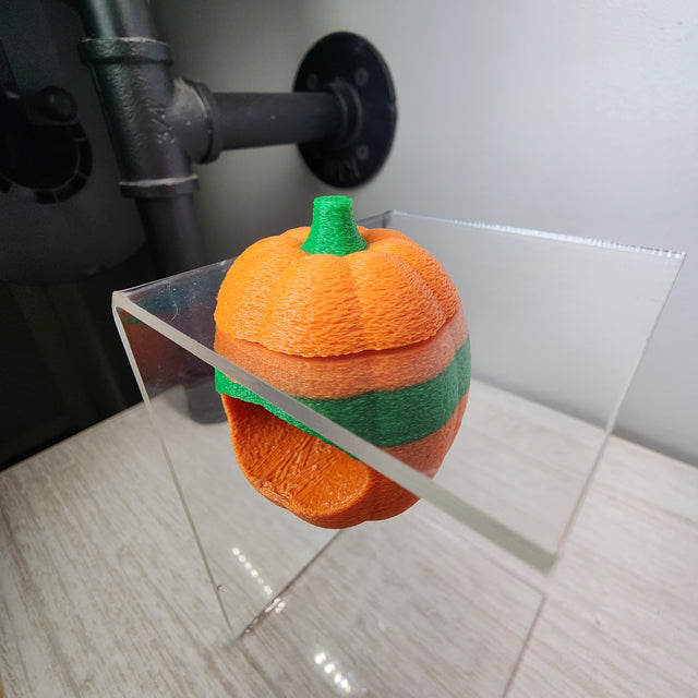 Screaming Pumpkin Nesting Hide for Jumping Spiders