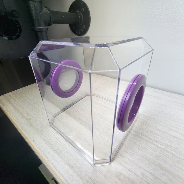 Den Flat Top 4x4x4 Jumping Spider Enclosure (holds fruit flies)