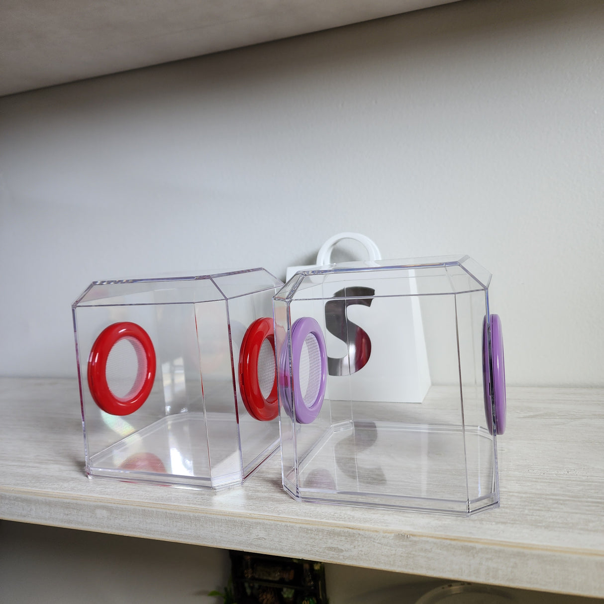 Den Flat Top 4x4x4 Jumping Spider Enclosure (holds fruit flies)