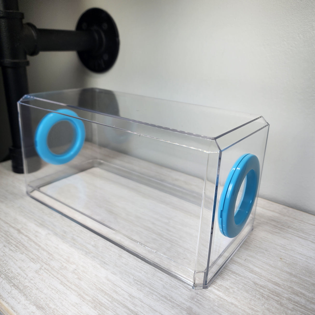 Phid Flat Sling Nursery Jumping Spider Enclosure 8.5x4x4(holds fruit flies)