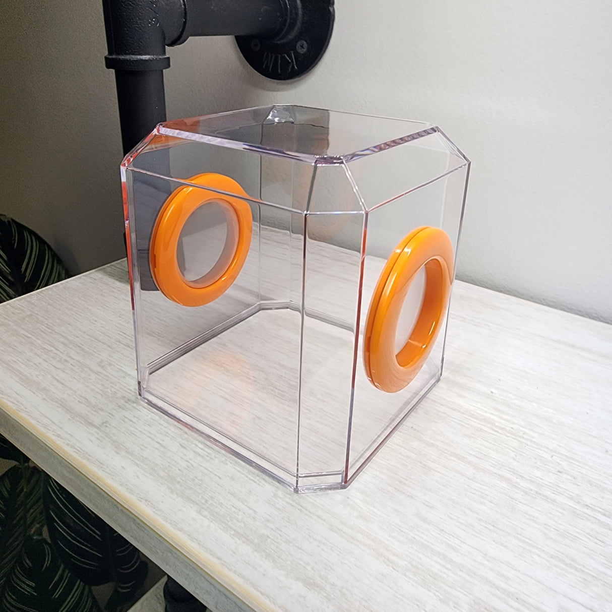 Den Flat Top 4x4x4 Jumping Spider Enclosure (holds fruit flies)