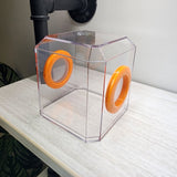 Den Flat Top 4x4x4 Jumping Spider Enclosure (holds fruit flies)