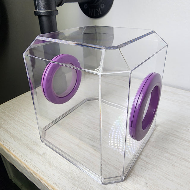 Den Flat Top 4x4x4 Jumping Spider Enclosure (holds fruit flies)