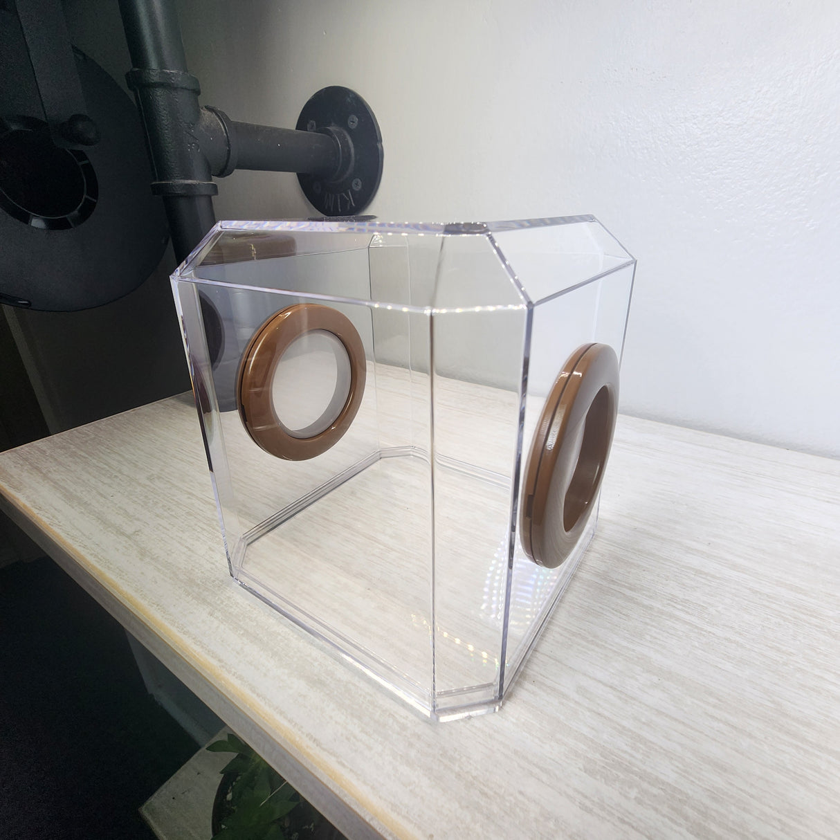 Den Flat Top 4x4x4 Jumping Spider Enclosure (holds fruit flies)