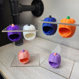 Baby Pumpkin Nesting Hides for Jumping Spiders