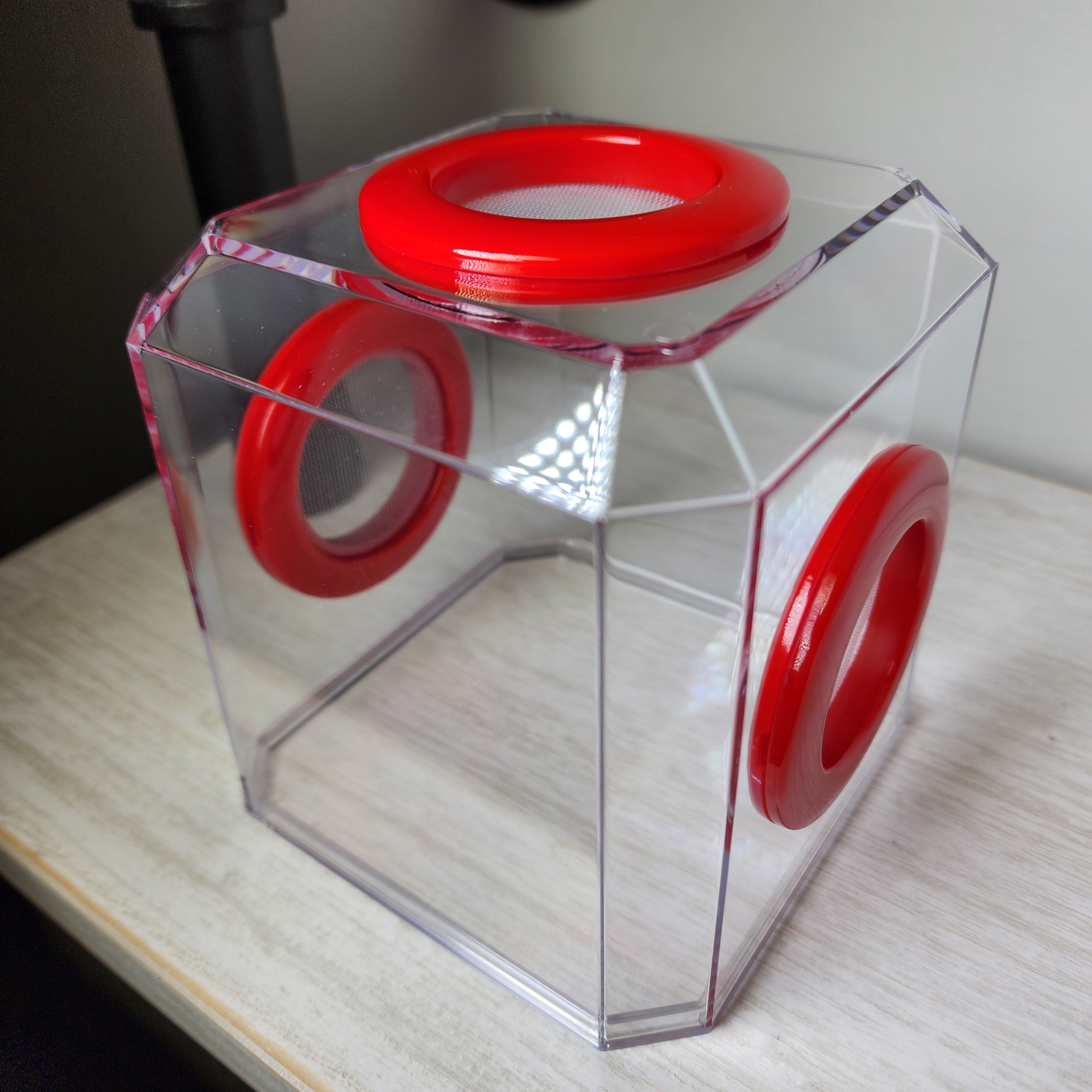 Den Tri Vent 4x4x4 Jumping Spider Enclosure | BigFATPhids