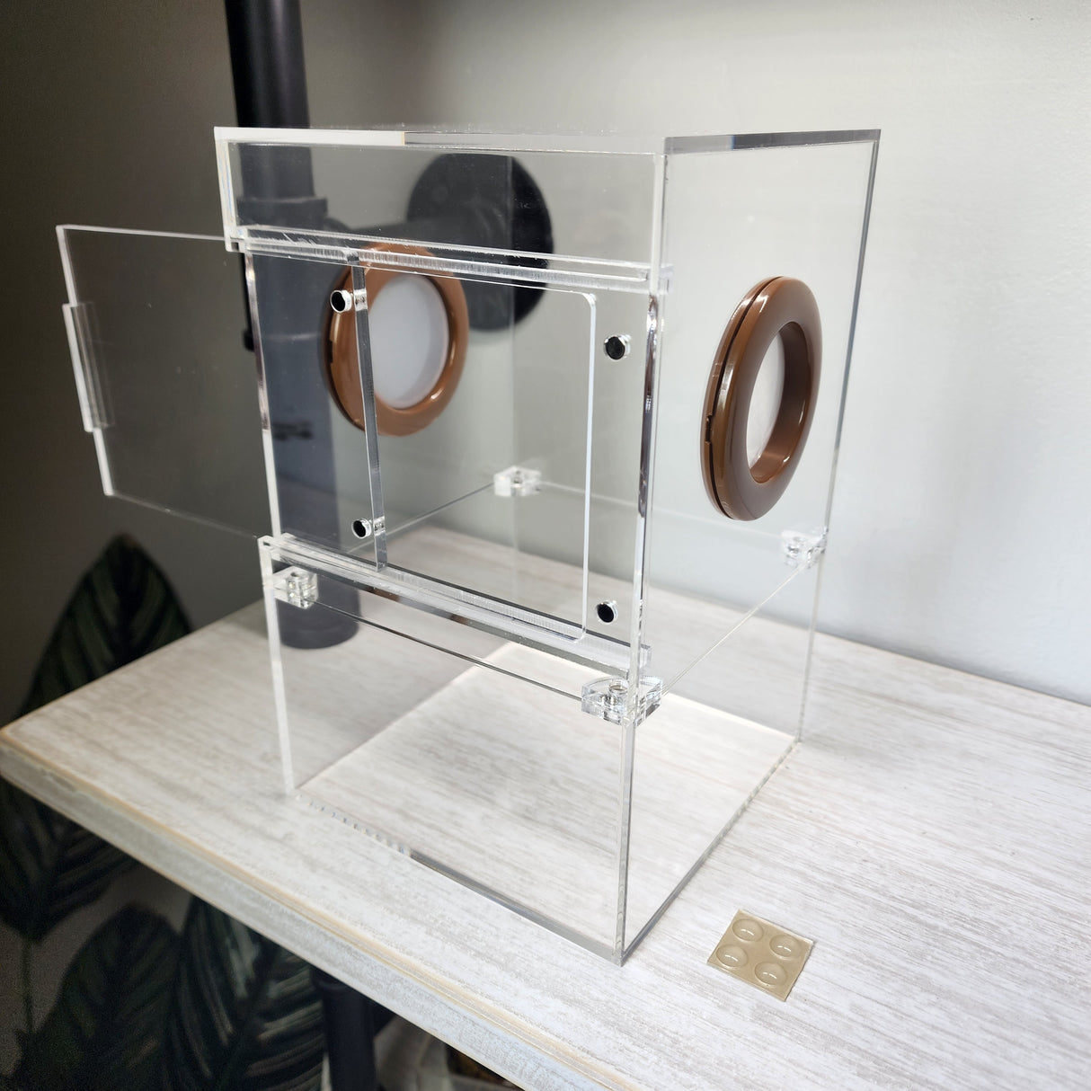 Large Flat Top Magnetic 5x5x8 Front Opening Jumping Spider Enclosure