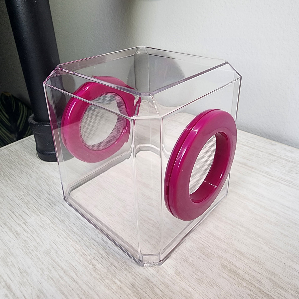 Mini Den Flat Top 3x3x3 Jumping Spider Enclosure (holds fruit flies)