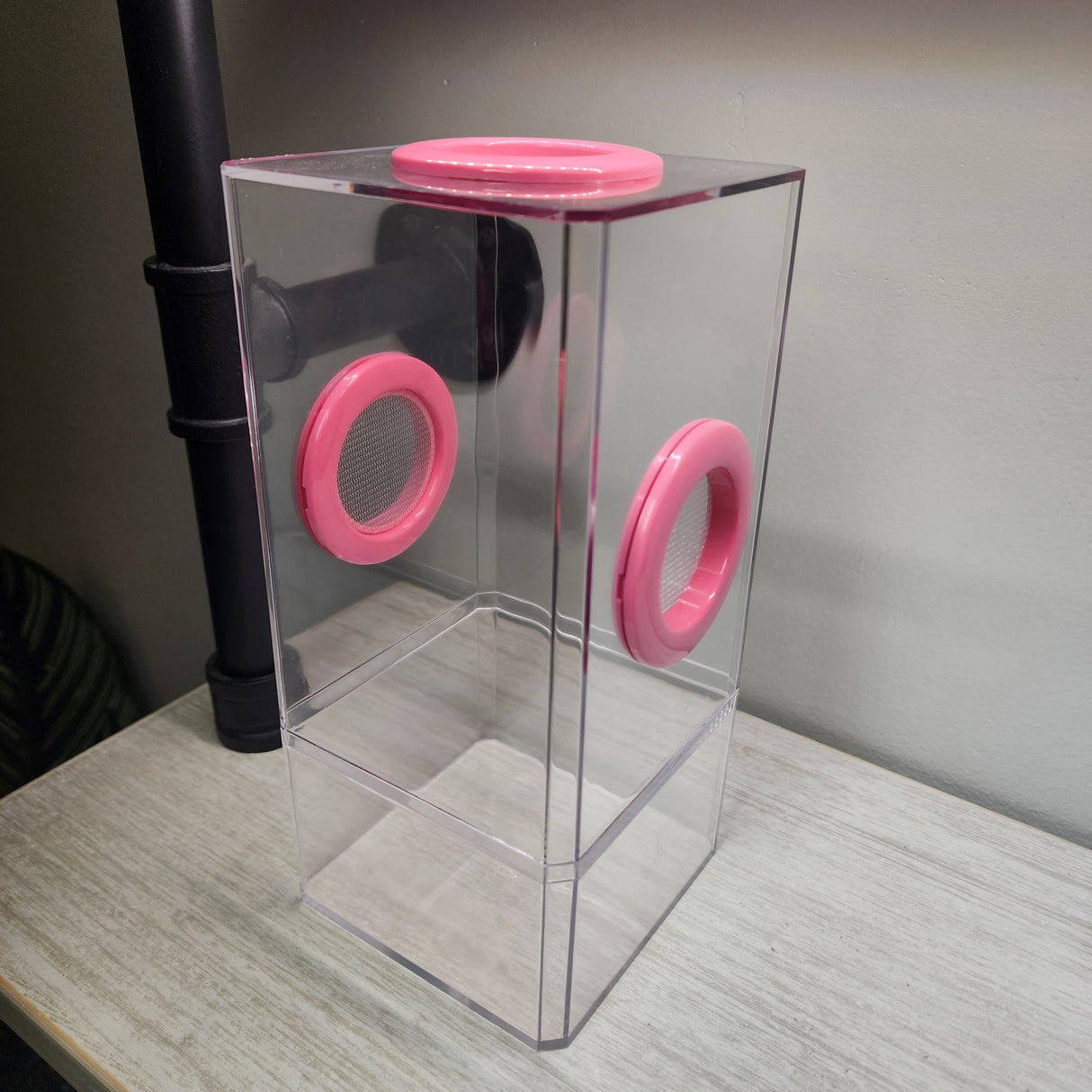 B-STOCK Flip Top Tri-Vent Spider Condo Jumping Spider Enclosure (holds Fruitflies)