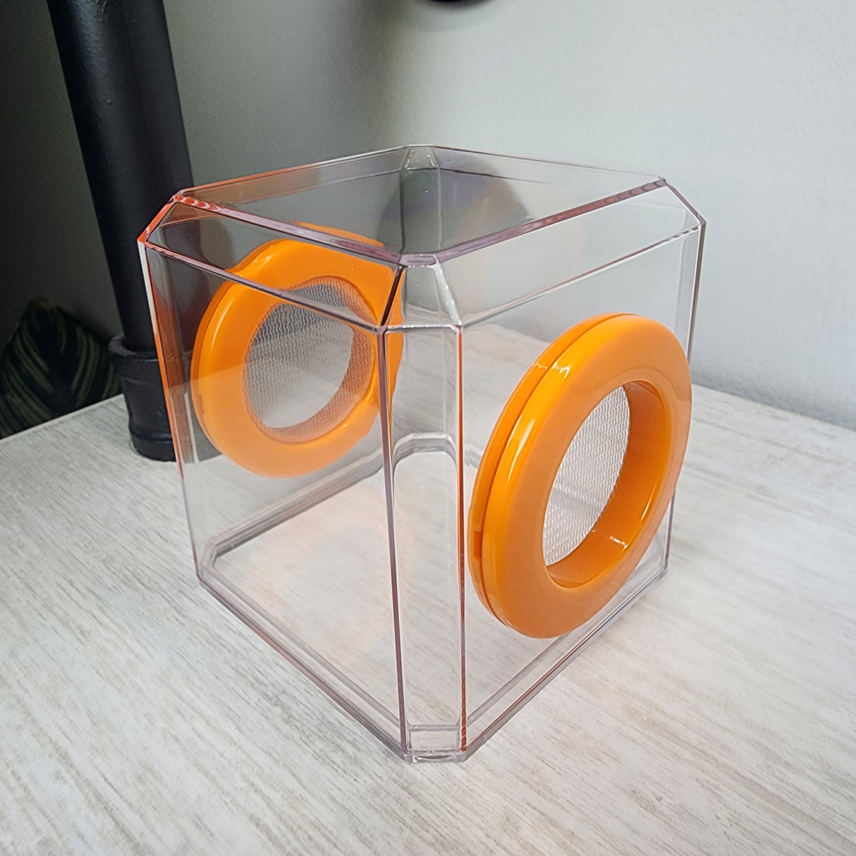 Mini Den Flat Top 3x3x3 Jumping Spider Enclosure (holds fruit flies)