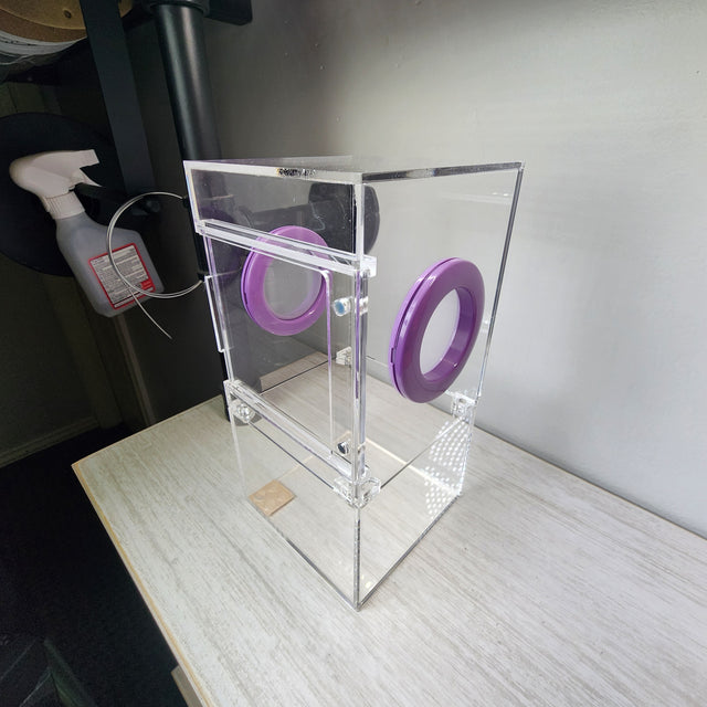 Medium Flat Top 4x4x8 Magnetic Front Opening Jumping Spider Enclosure