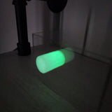 Magnetic Spoody Perch for Jumping Spiders 1 and 4 CT