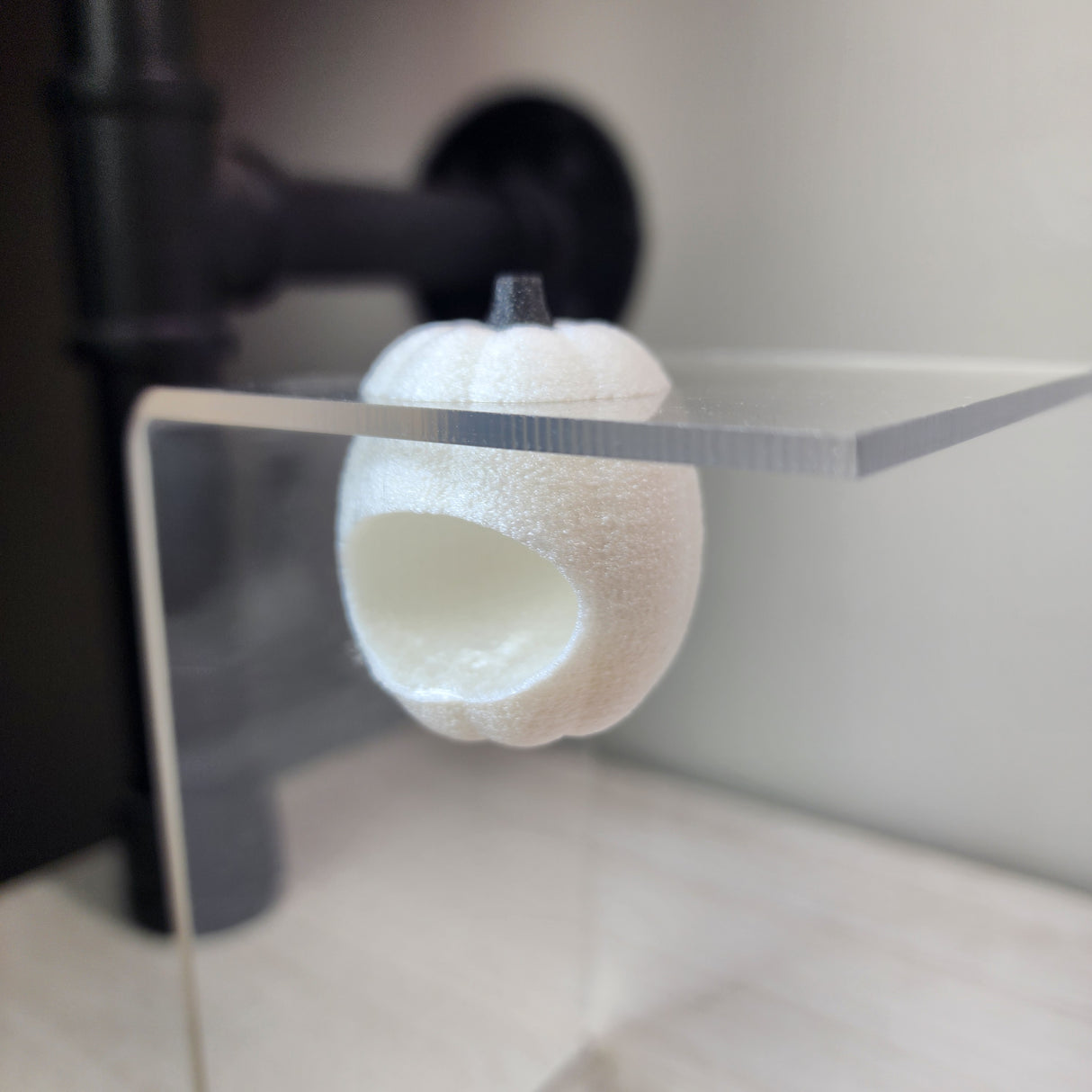 Baby Pumpkin Nesting Hides for Jumping Spiders