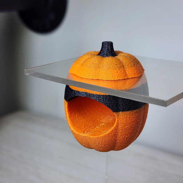 Screaming Pumpkin Nesting Hide for Jumping Spiders