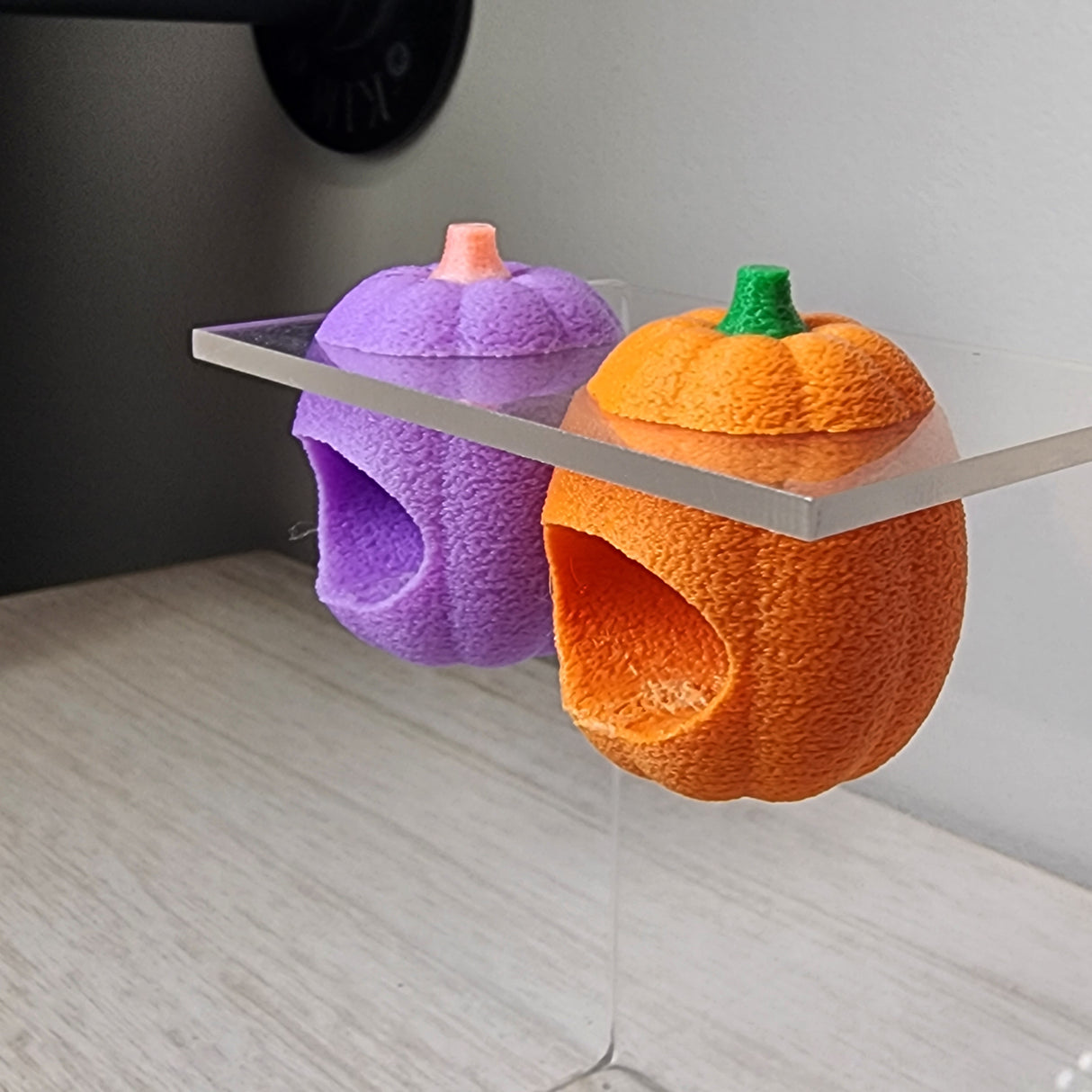 Baby Pumpkin Nesting Hides for Jumping Spiders