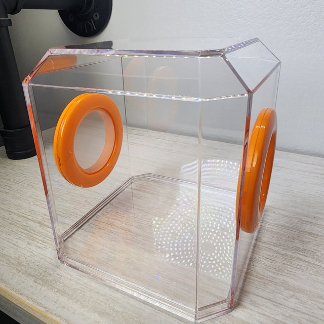 Den Flat Top 4x4x4 Jumping Spider Enclosure (holds fruit flies)