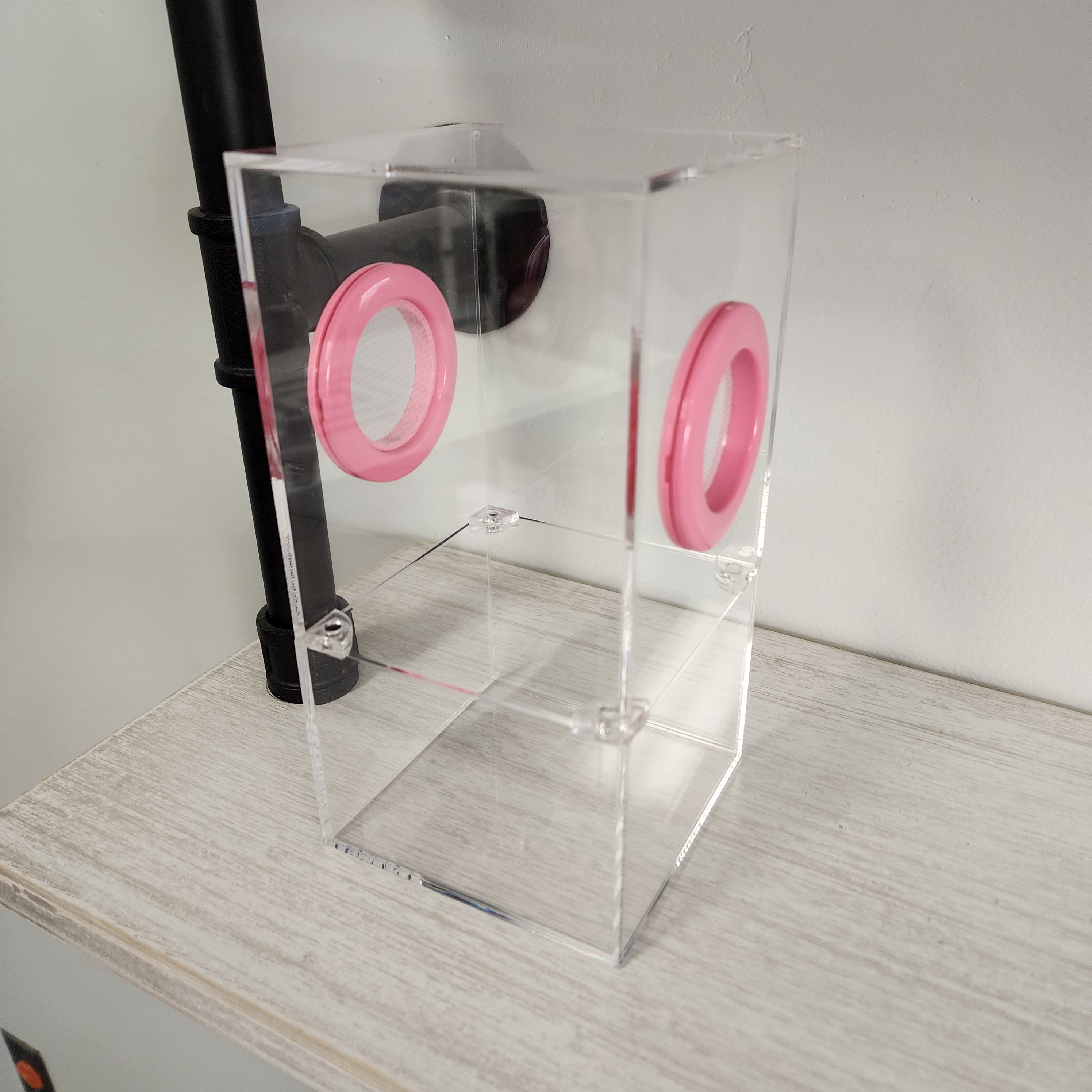 Medium 4x4x8 Magnetic Dual Vent Jumping Spider Enclosure | BigFATPhids