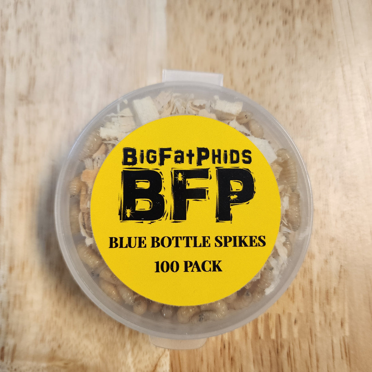 Blue Bottle Spike Bundle