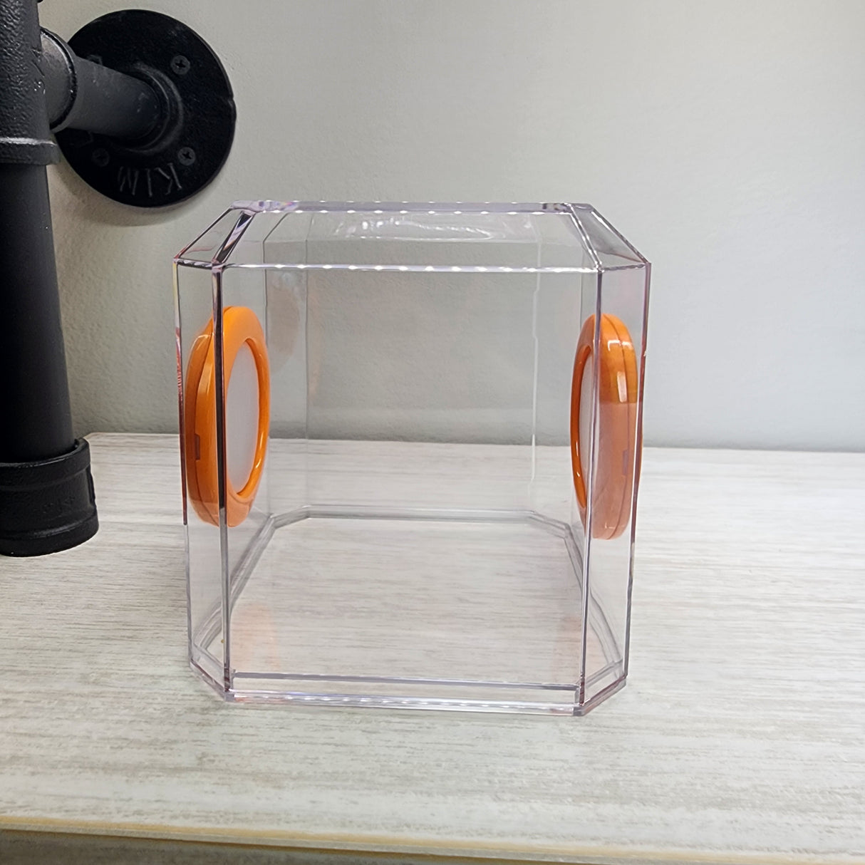 Den Flat Top 4x4x4 Jumping Spider Enclosure (holds fruit flies)